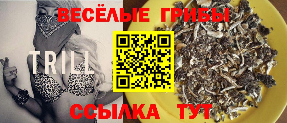 Калуга  Псилоцибиновые грибы Cubensis  Псилоцибиновые грибы GOLDEN TEACHER  Вход с VPN 