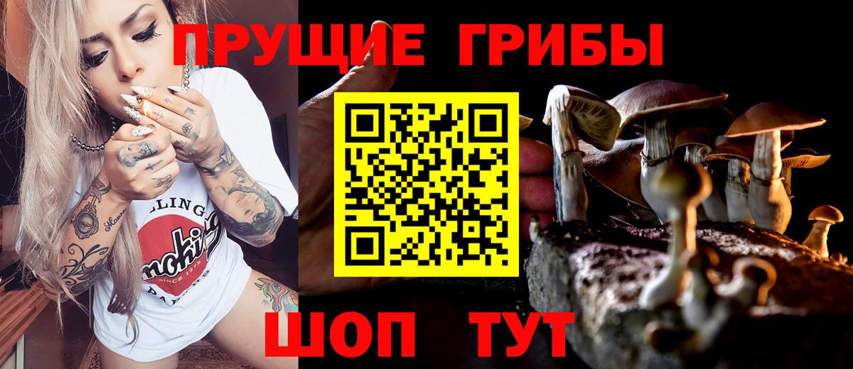 Галлюциногенные грибы Psilocybine cubensis Калуга